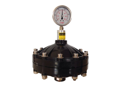 ��Ĥ������